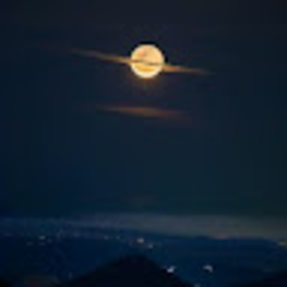 Meet your Posher, Adrian - Picture 1 of 1